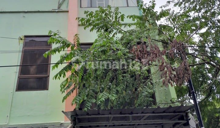 Rumah Kos Full Occupancy Tomang Jakarta Barat