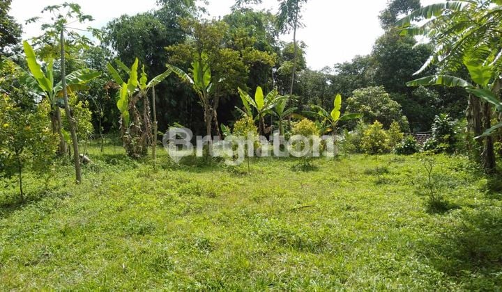 TANAH PAKUHAJI LUAS HARGA MURAH