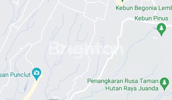 BUNI WANGI LAND PLOT, LEMBANG WITH MOUNTAIN AND PLANTATION VIEWS