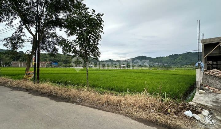 Dijual Tanah Sawah Aktif Batujajarmau Jual Cepatuntuk Investasi