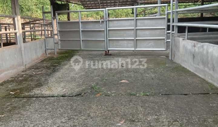Dijual Tanah Lokasi Strategis di Kota Bogor