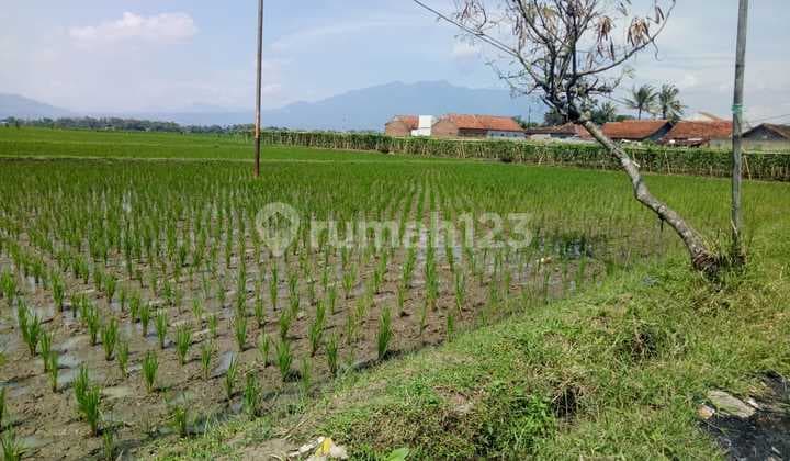 Tanah Dijual Luas Lokasi Strategis di Area Katapang, Kab Bandung 88