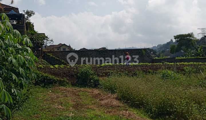Tanah Dijuali Dago Pakar View Bandung Cocok Untuk Villa