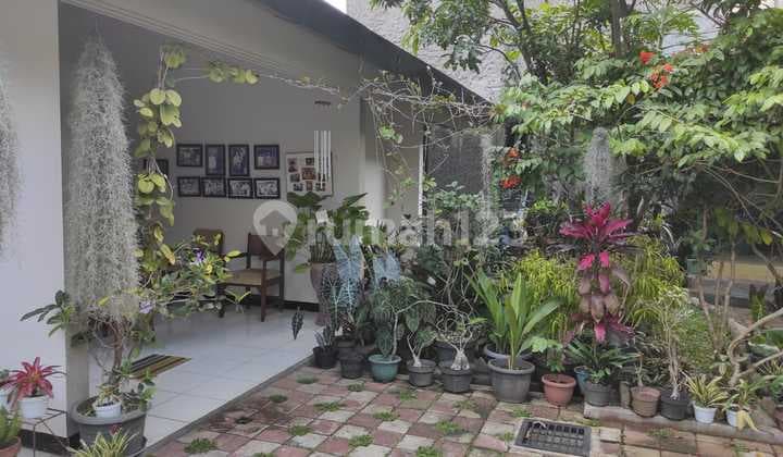 Jual Cepat Rumah Di Cigadung Bisa Dibangun Kost