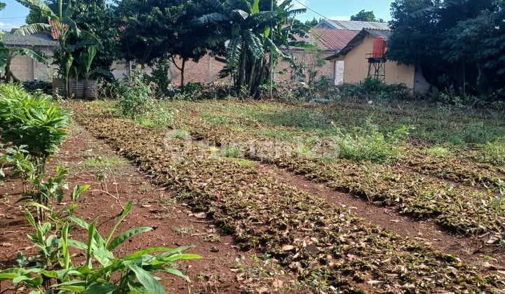 Disewakan Lahan Kosong Dengan Harga Sangat Murah di Padurenan, Mustika Jaya. Bekasi
