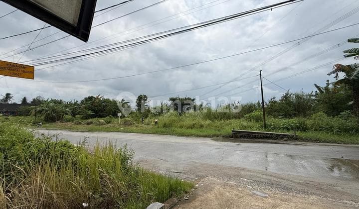 Dijual Tanah Mainroad Area Maja Banten Tanggerang