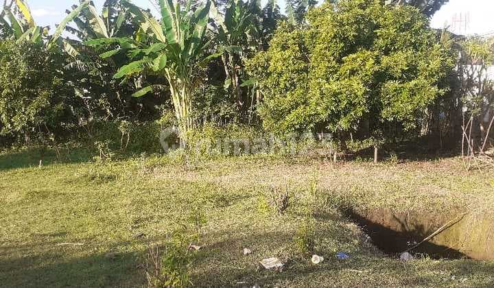 Disewakan/leasehold Tanah Area Kutuh,kuta Selatan Badung