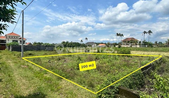 Tanah View Sawah Area Buwit Tabanan Siap Dibangun