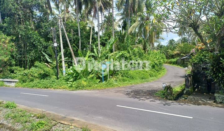 Tanah area tabanan cocok untuk investasi