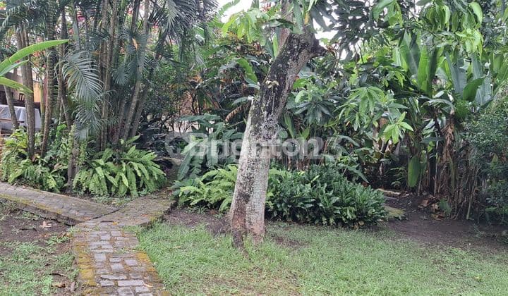 Tanah bonus bangunan pinggir jalan area tumbak bayuh canggu