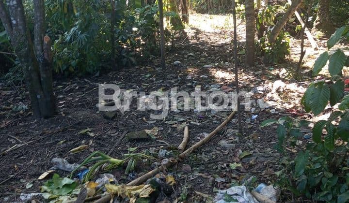 Tanah area pejeng ubud gianyar