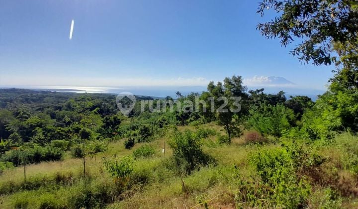 Tanah View Laut Area Nusa Penida Klungkung