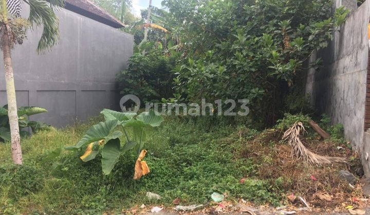 Tanah Luasan Kecil Jalan Kaki Ke Rs Wisma Prashanti Tabanan