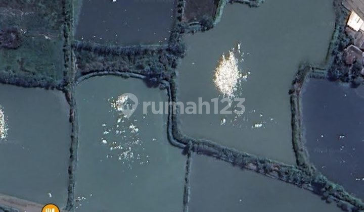 Tanah di Raya Bringkang Menganti 5 Menit Ke Grand Sunrise