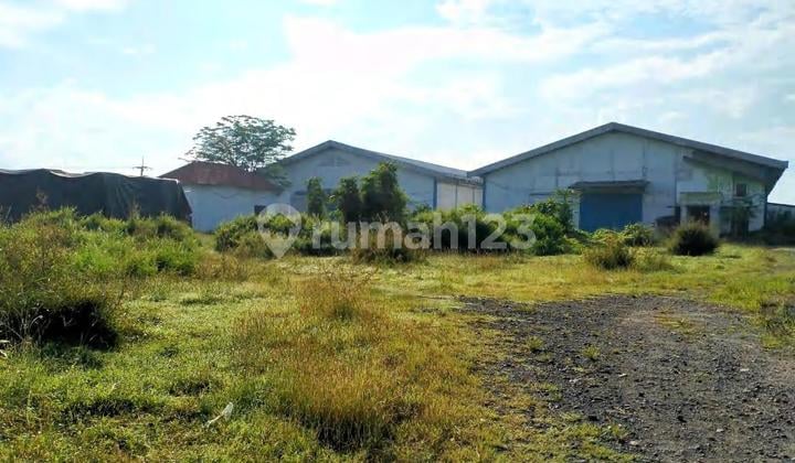 Gudang Siap Pakai di Raya Balong Panggang Gresik