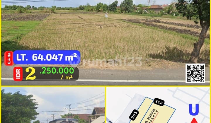 Tanah Nol Jalan Propinsi Di Raya Beji Pasuruab