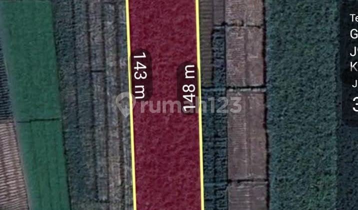 Tanah di Jetis, Mojokerto SHM 3.762 m² Murah Tanah di Jetis, Mojokerto SHM 3.762 m² Murah