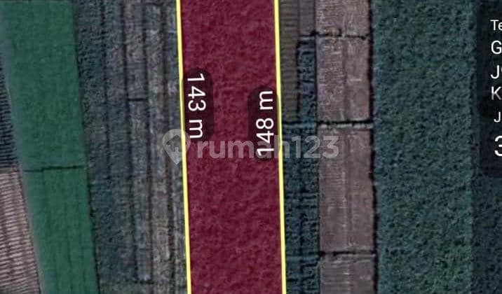 Tanah di Jetis, Mojokerto SHM 3.762 m² Murah