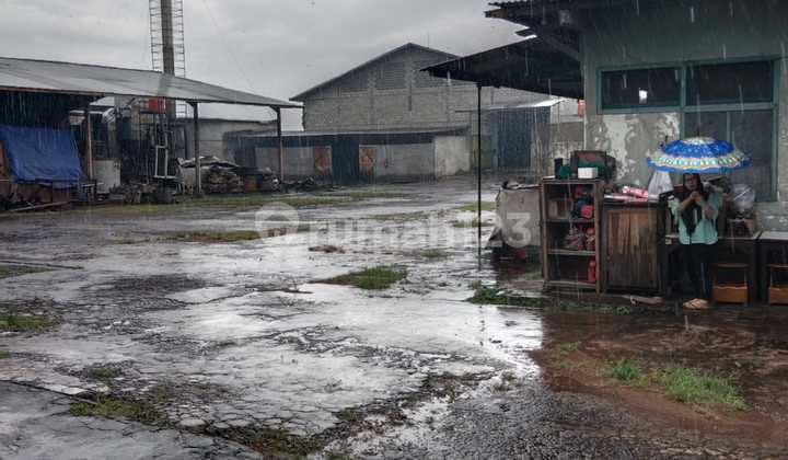 Pabrik Mie & Bihun Jombang di Nol Jalan Raya Nasional Mojoagung Jombang
