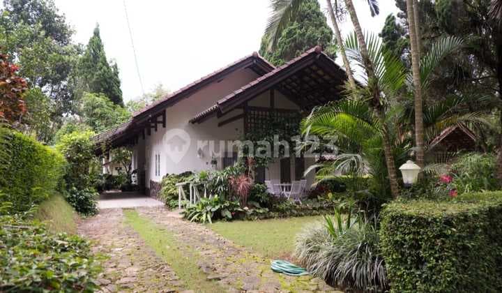 Villa Siap Huni Grand Trawas Blok D Jalan Kembar View Hutan Pinus
