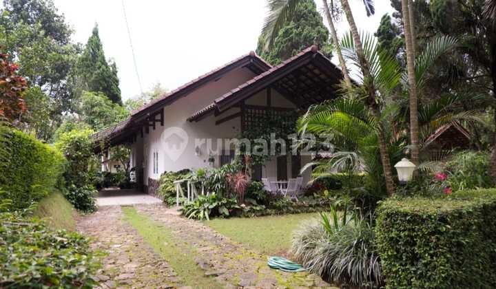 Villa Siap Huni Grand Trawas Blok D Jalan Kembar View Hutan Pinus