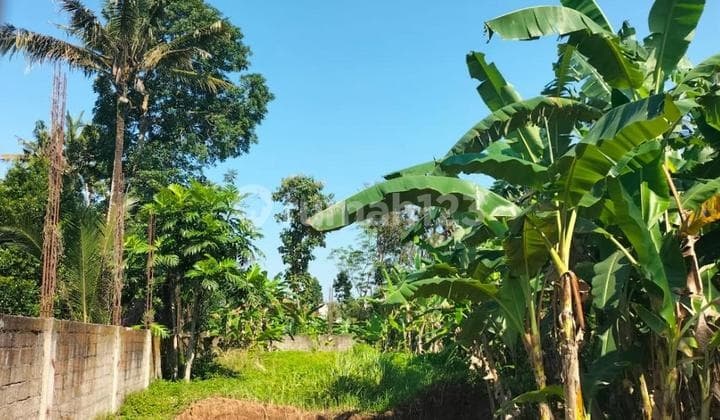 Beautiful Land Perfect For Villa - Lodtunduh Ubud