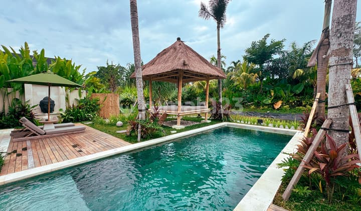 Beautiful Brand New Villa Ubud