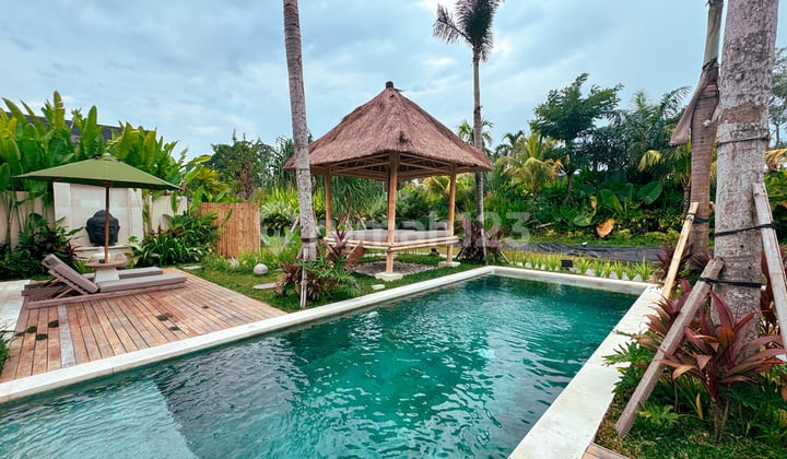 Beautiful Brand New Villa Ubud