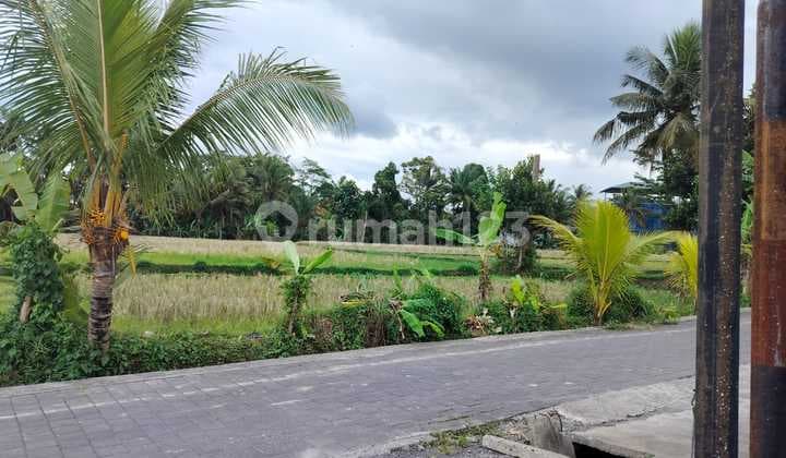 Beautiful Land For Lease In Andong - Close To Kamandalu Resort