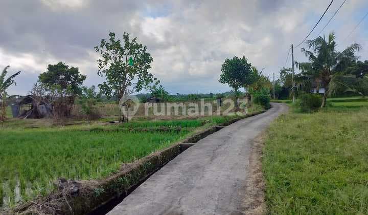 Premium Land For Lease In Singakerta - Ubud