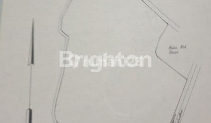 Tanah kebun Pohon buah Durian dll di Tempuran Pasrepan Pasuruan