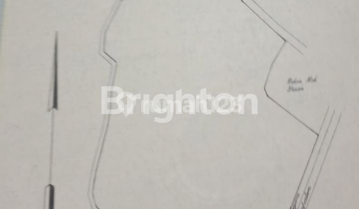 Tanah kebun Pohon buah Durian dll di Tempuran Pasrepan Pasuruan