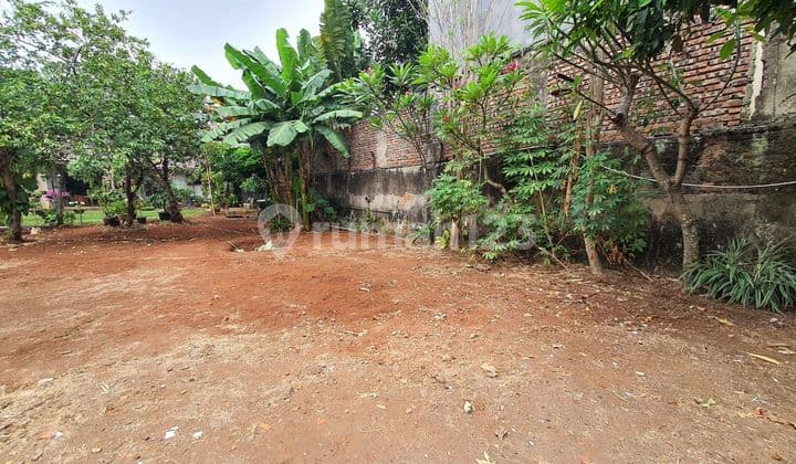 Cilandak Taman Wijaya Kusuma Tanah cocok untuk rumah asri