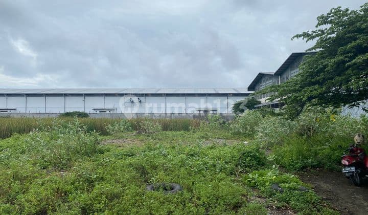 Kavling Sawah Luas Tanah 5000m2 di Salembaran Jati Kosambi