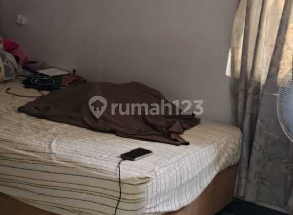 Di Jual Cepat Murah Rumah Taman Palem Lestaei 3.75 X 13 Rapi Siap Huni