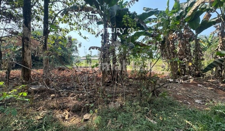 TANAH DI CIANGSANA GUNUNG PUTRI BOGOR