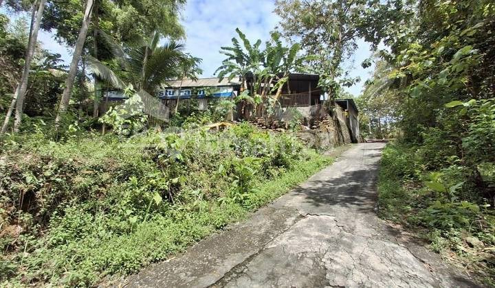 Cheap Land in Jogja for Sale Near Rajakalana Resto