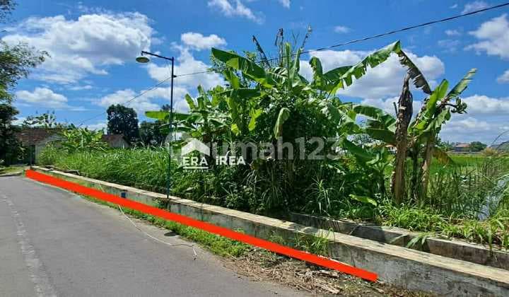 Tanah Jogja Dijual Murah Kalasan Sleman