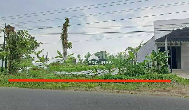 Dijual Tanah Murah Mlati Sleman Dekat Pemda Sleman