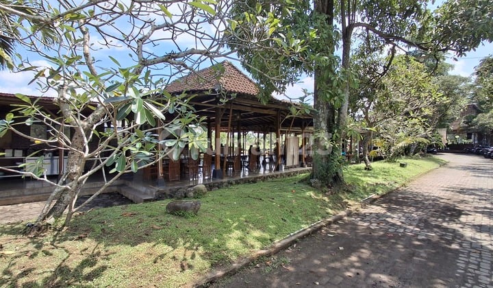 Tanah Jogja Dijual, Area Palagan Yogyakarta