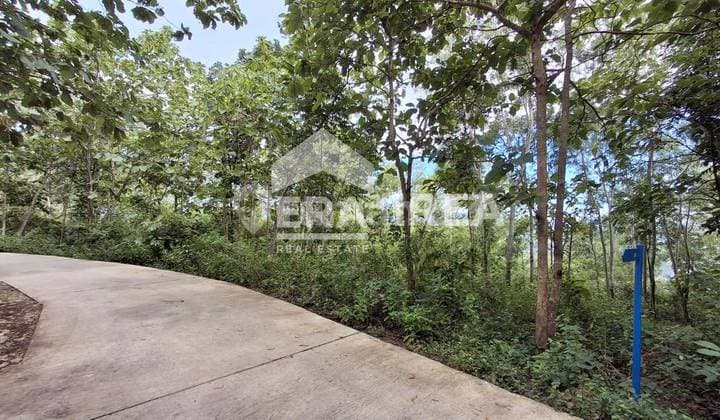 Tanah Jogja Dijual Dekat Kopi Puncak Rindu