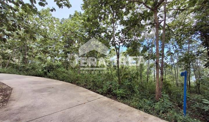 Yogyakarta Land for Sale Near Kopi Puncak Rindu