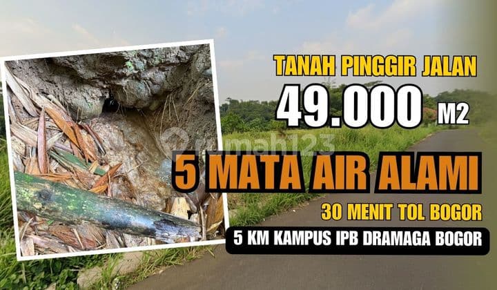 Jual Tanah di Ciampea Bogor, Pinggir Jalan Ada 5 Mata Air di Kebun