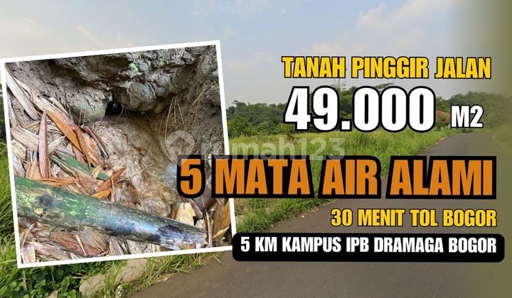 Jual Tanah di Ciampea Bogor, Pinggir Jalan Ada 5 Mata Air di Kebun