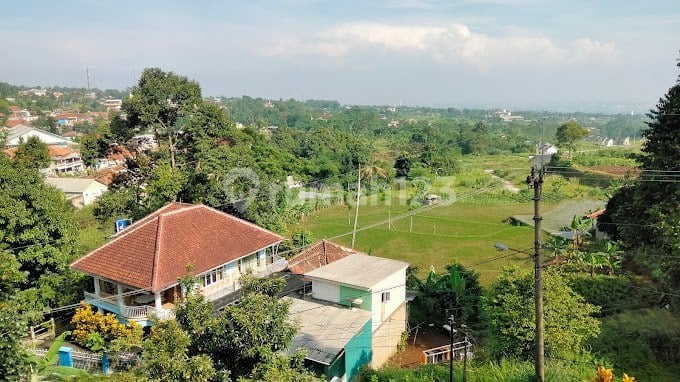 DIJUAL KEBUN DURIAN SUDAH BERBUAH DI CIJERUK BOGOR