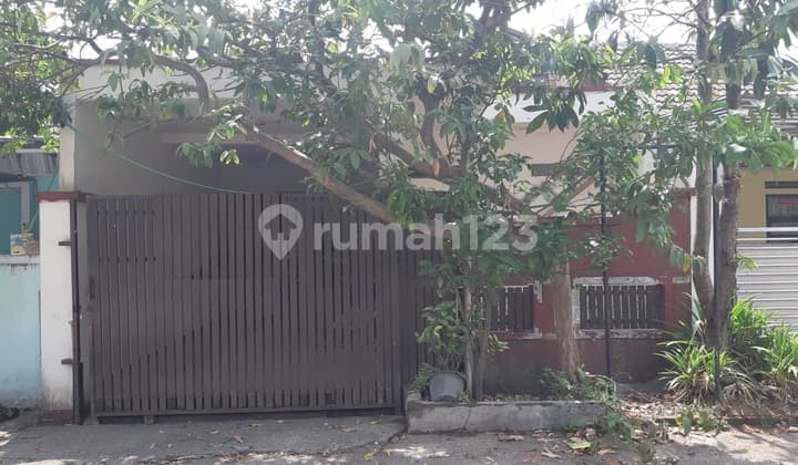 Rumah Asri Ada Pohon Jambu Depan Halaman di Graha Rancamanyar