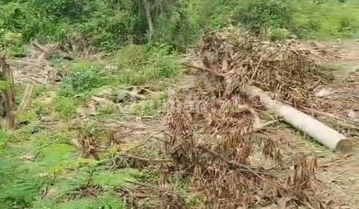 Raya Mauk - Teluk Naga Tanah Padat Pinggir Jalan Raya Akses Kontainer 40 Feet