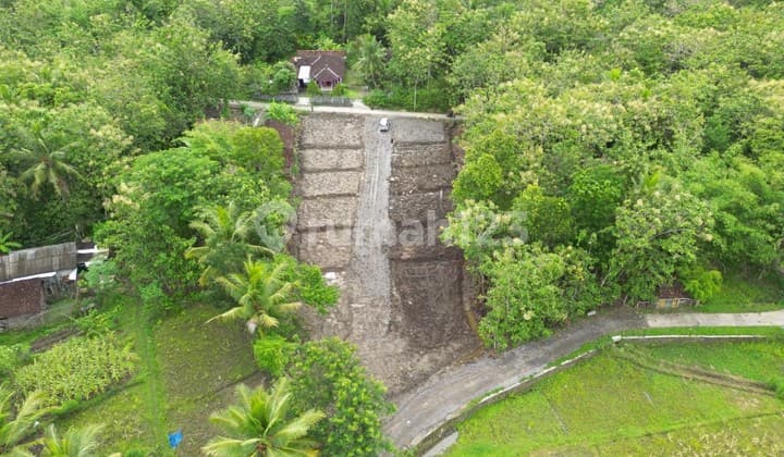 Dijual Tanah Dekat RS. Queen Lathifa, Sentolo