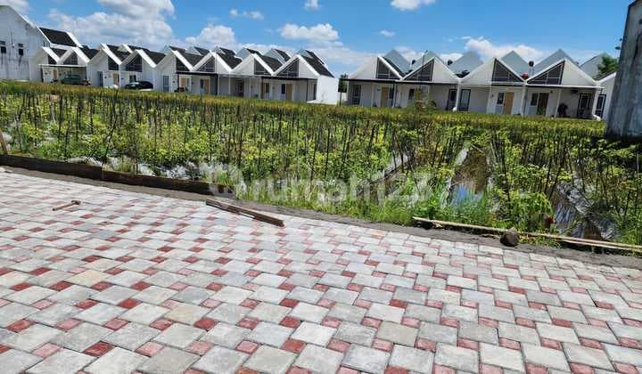 Dekat Kampus Ugm, Tanah di Jl. Damai : Sertifikat Hak Milik