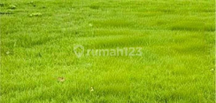 For Sale: Bukit Mas Tourism Land, Double Way Cluster Area